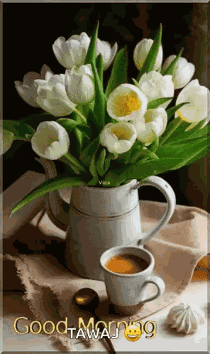 Good Morning GIF