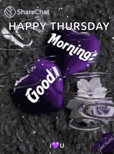 Good Morning GIF