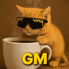 Good Morning GIF