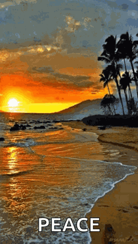 Good Morning GIF