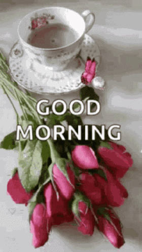 Good Morning Rollygifs GIF