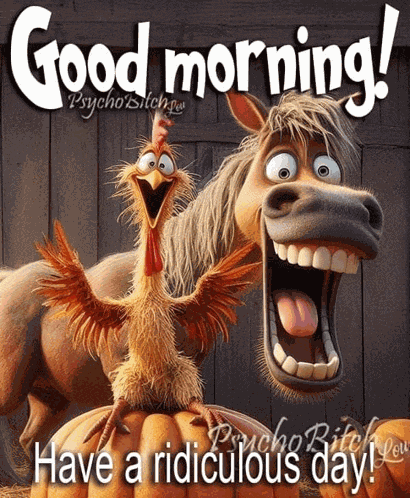 Good Morning Rooster Meme