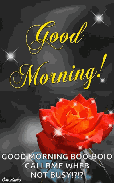Good Morning Rose GIF