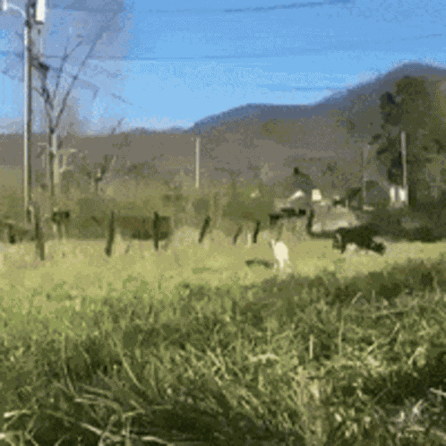 Good Morning GIF