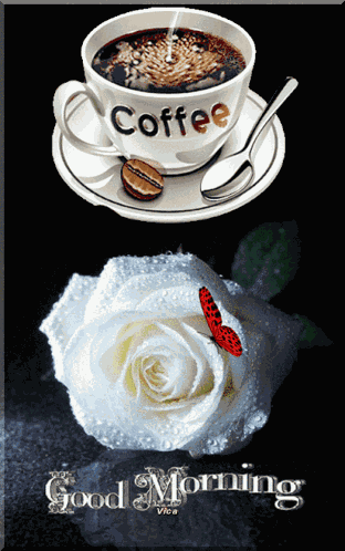 Good Morning GIF