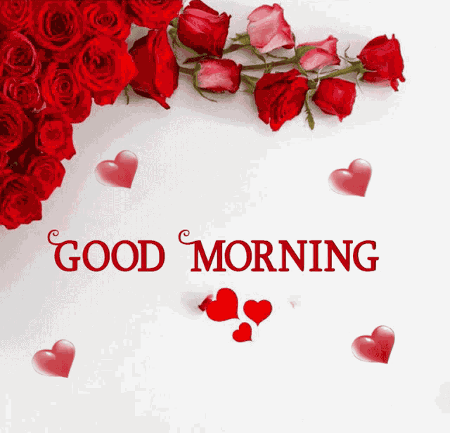 Good Morning GIF