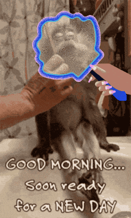 Good Morning Soon Ready For A New Day GIF