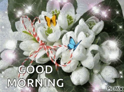 Good Morning Sparkles GIF