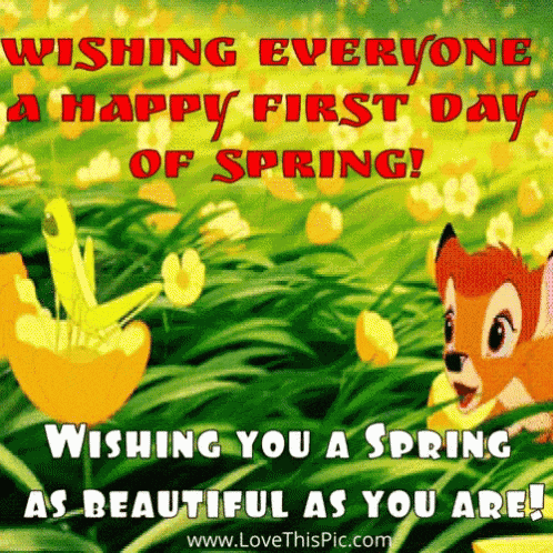 Good Morning Spring GIF