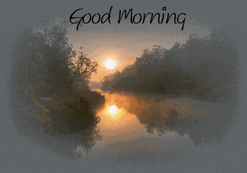 Good Morning GIF