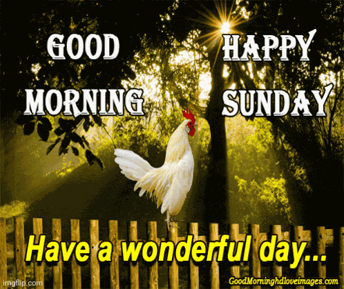 Good Morning Sunday Meme