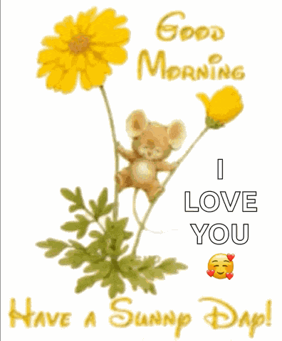 Good Morning Sunny Day GIF