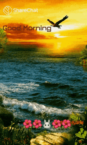 Good Morning Sunrise GIF