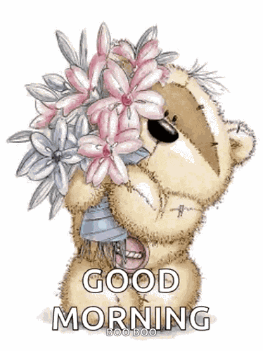 Good Morning Teddy GIF
