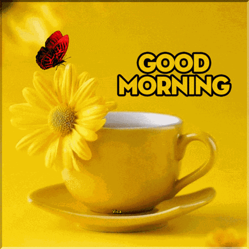 Good Morning GIF
