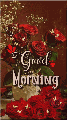 Good Morning GIF