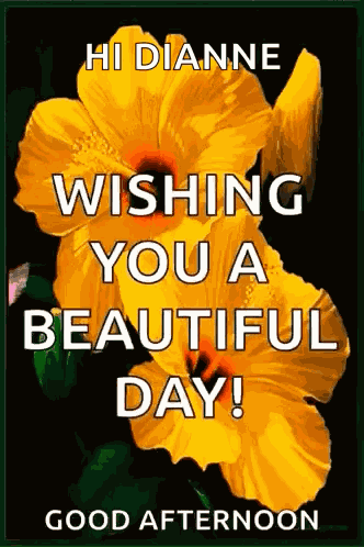 Good Morning GIF