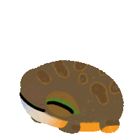 Good Morning Tree Frog Sticker
