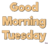 Good Morning Tuesday Sticker