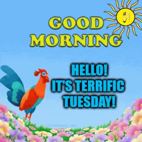 Good Morning Tuesday GIF