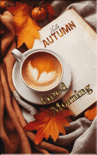 Good Morning GIF