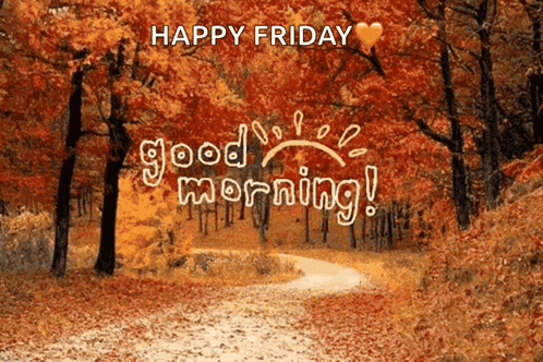 Good Morning GIF