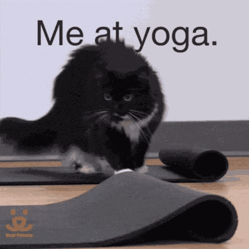 Good Morning GIF