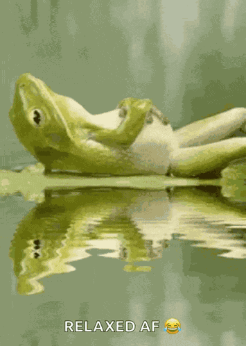 Good Morning GIF