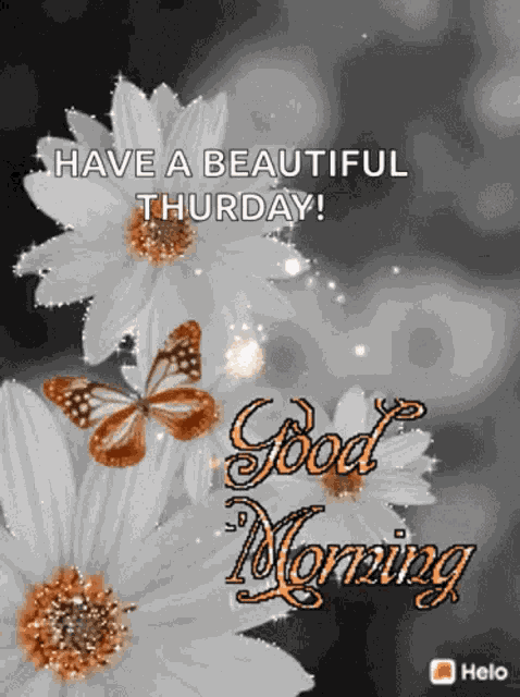 Good Morning GIF