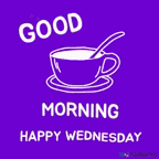 Good Morning Wednesday GIF