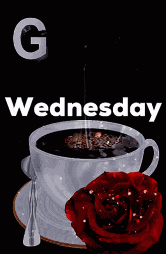 Good Morning Wednesday GIF
