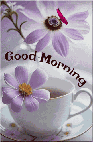 Good Morning GIF