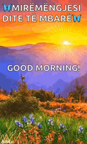 Good Morning GIF
