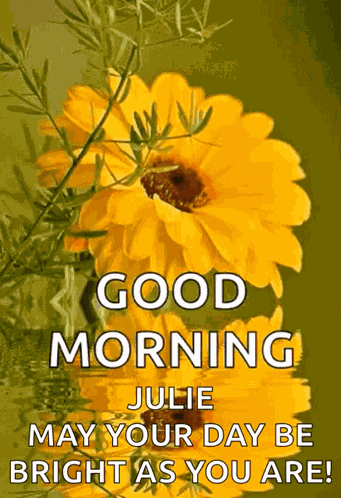 Good Morning GIF
