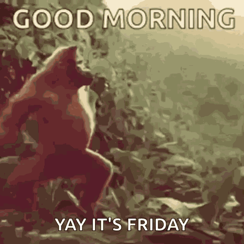 Good Morning GIF