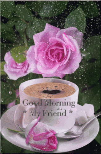 Good Morning GIF