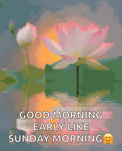 Good Morning Xxx GIF