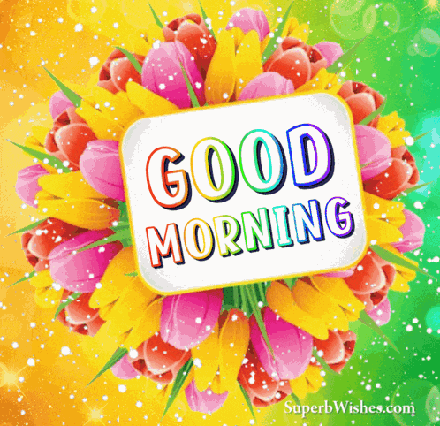Good Morning GIF