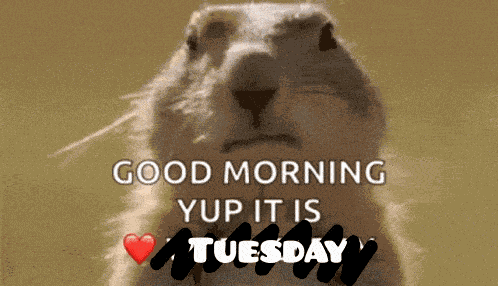Good Morning Yup It Is GIF