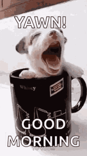 Good Morning GIF
