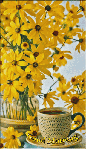 Good Morning GIF