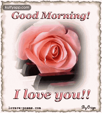 Good Morning.Gif GIF