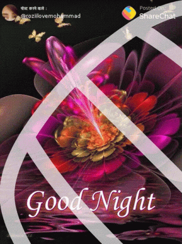 Good Night शुभरात्रि GIF