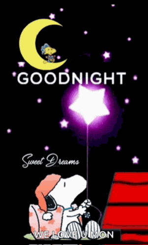 Good Night 2024 Meme