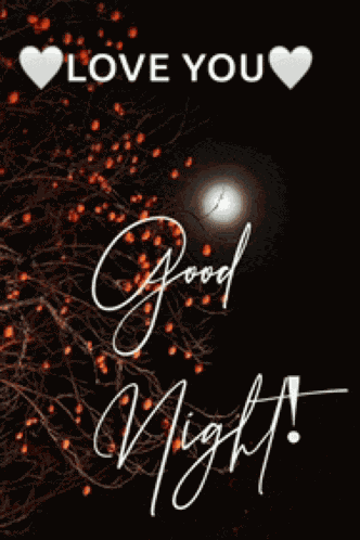 Good Night 2024 Meme