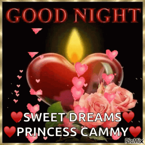 Good Night GIF