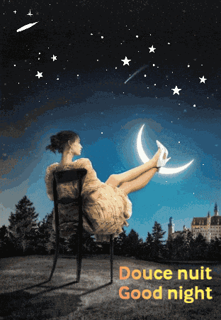 Good Night Bonne Nuit GIF