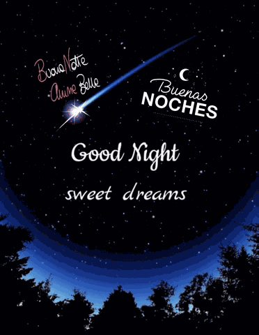 Good Night Buenas Noches GIF