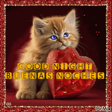 Good Night Buenas Noches GIF
