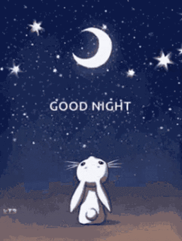 Good Night Bunny GIF